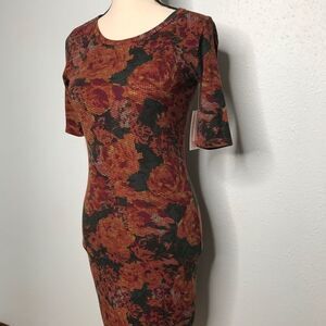 Beautiful LuLaRoe Julia Dress